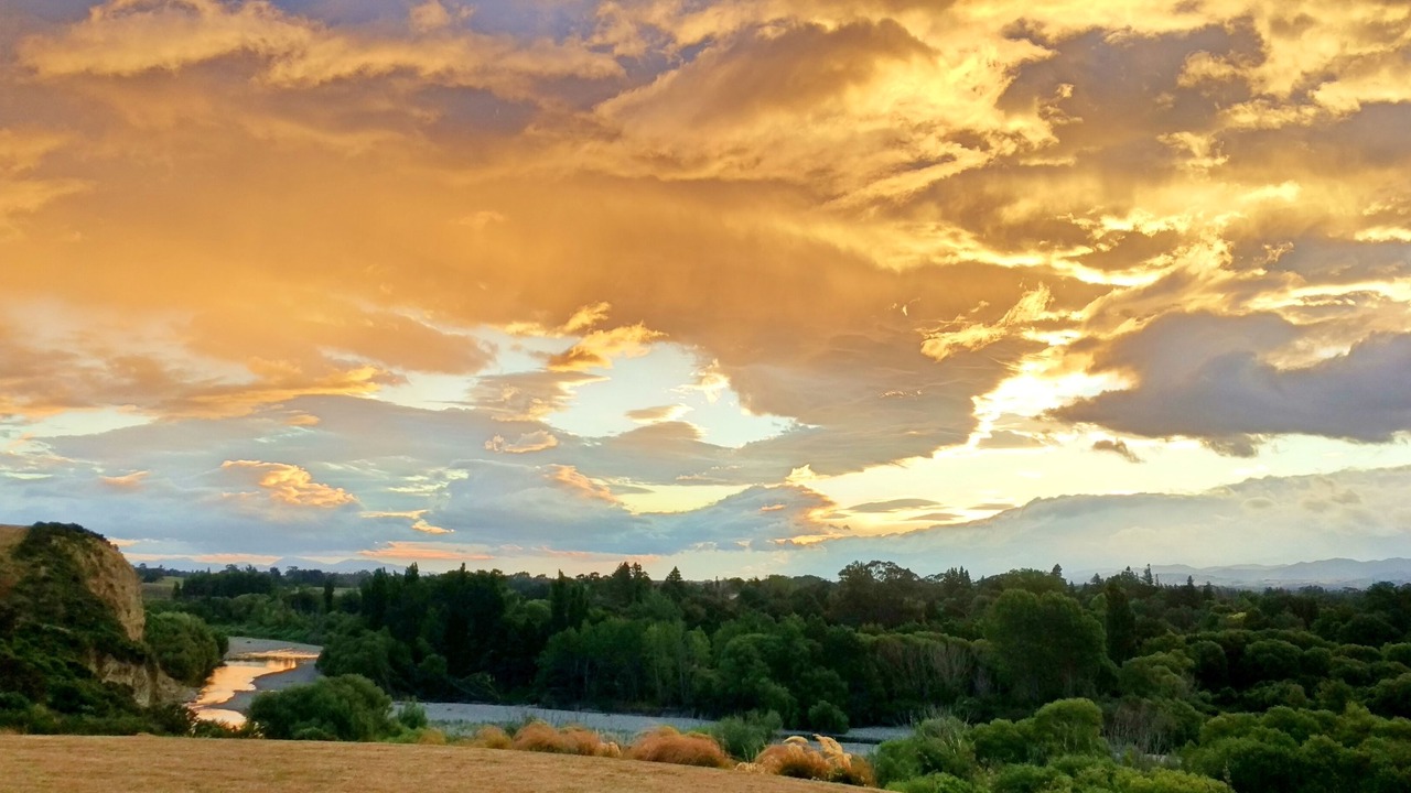 Photo of Others in Masterton
