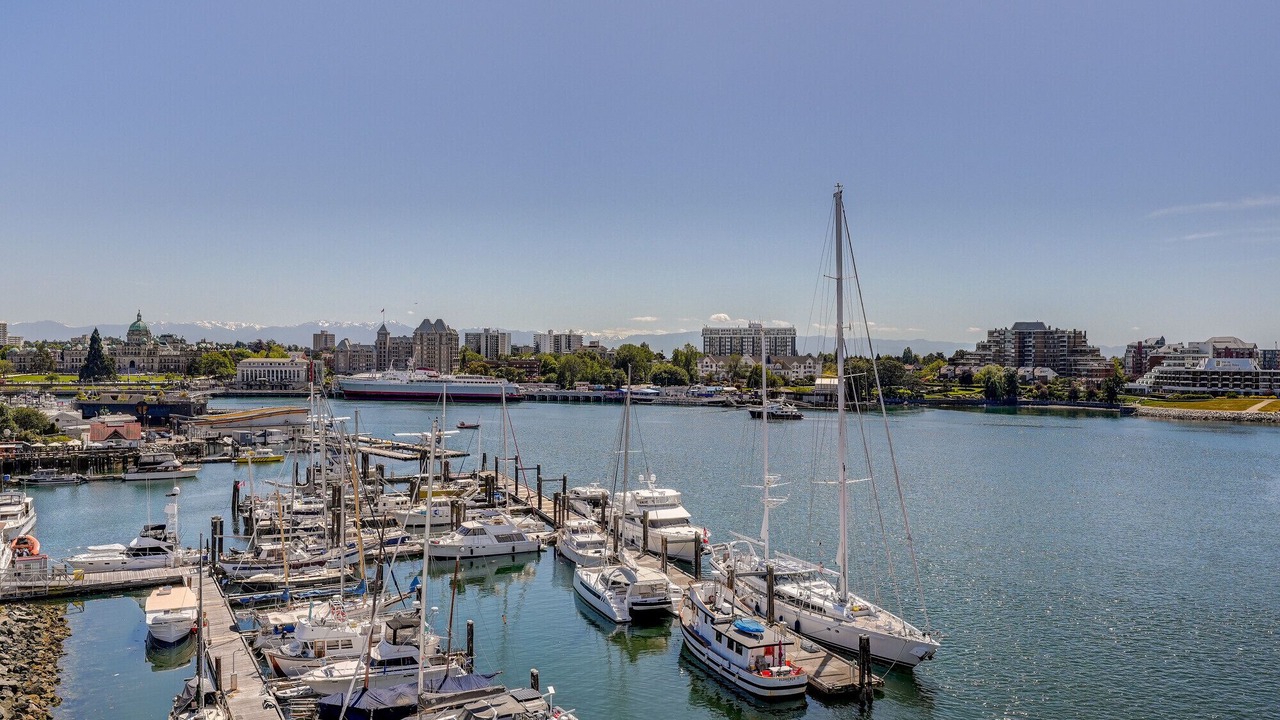 Photo of Others in Inner Harbour
