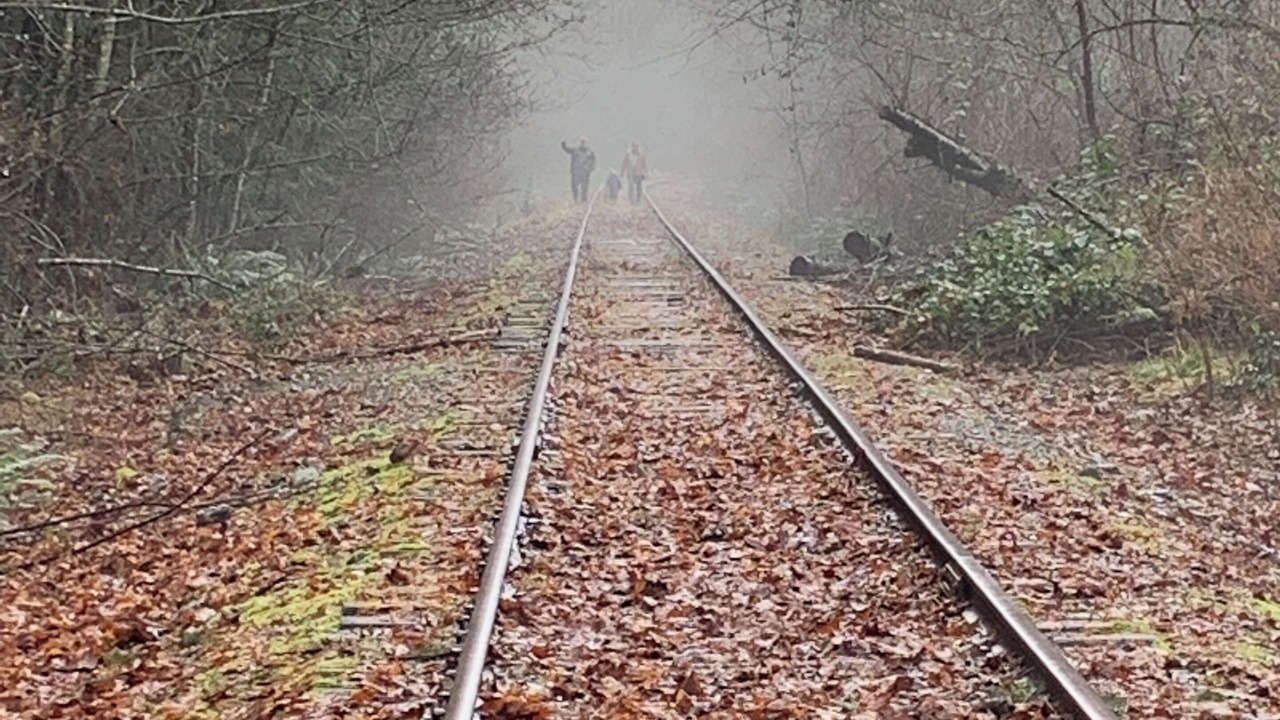 Photo of Outdoor in Chemainus