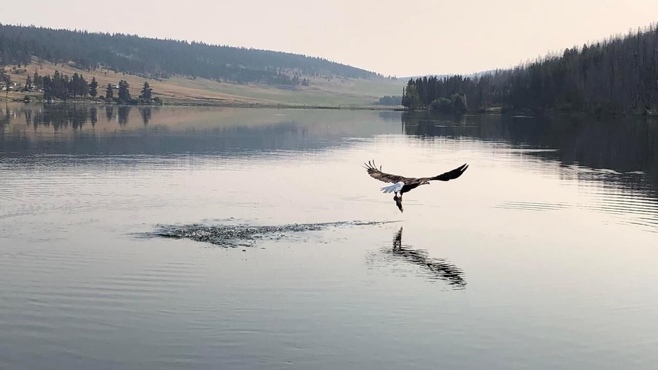 Photo of Others in Loon Lake