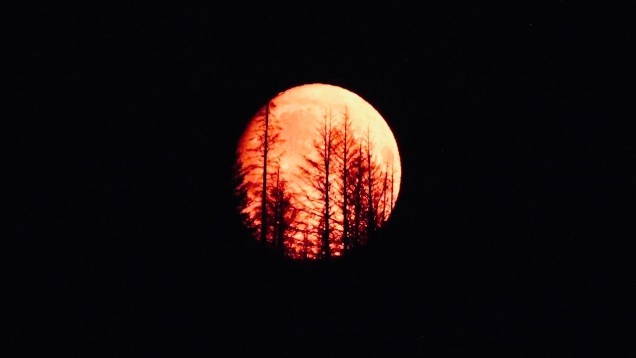 Photo of Others in Loon Lake