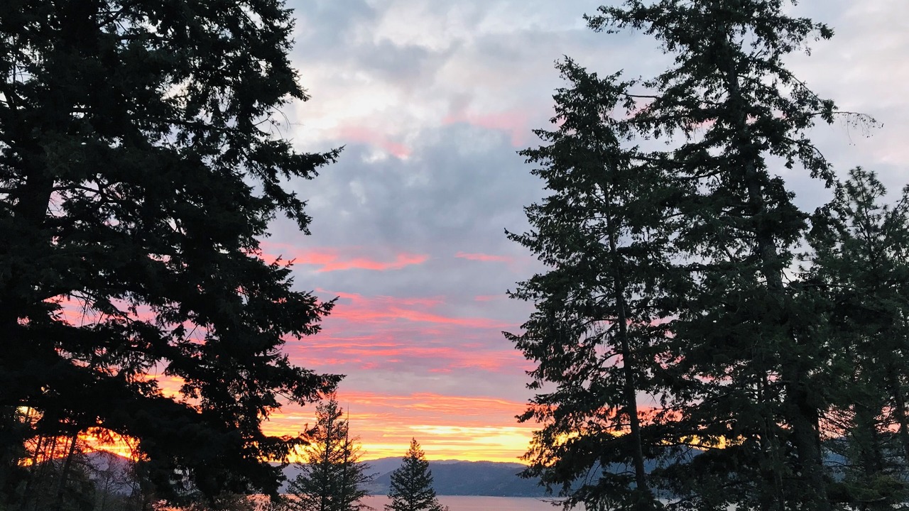 Photo of Others in Central Okanagan