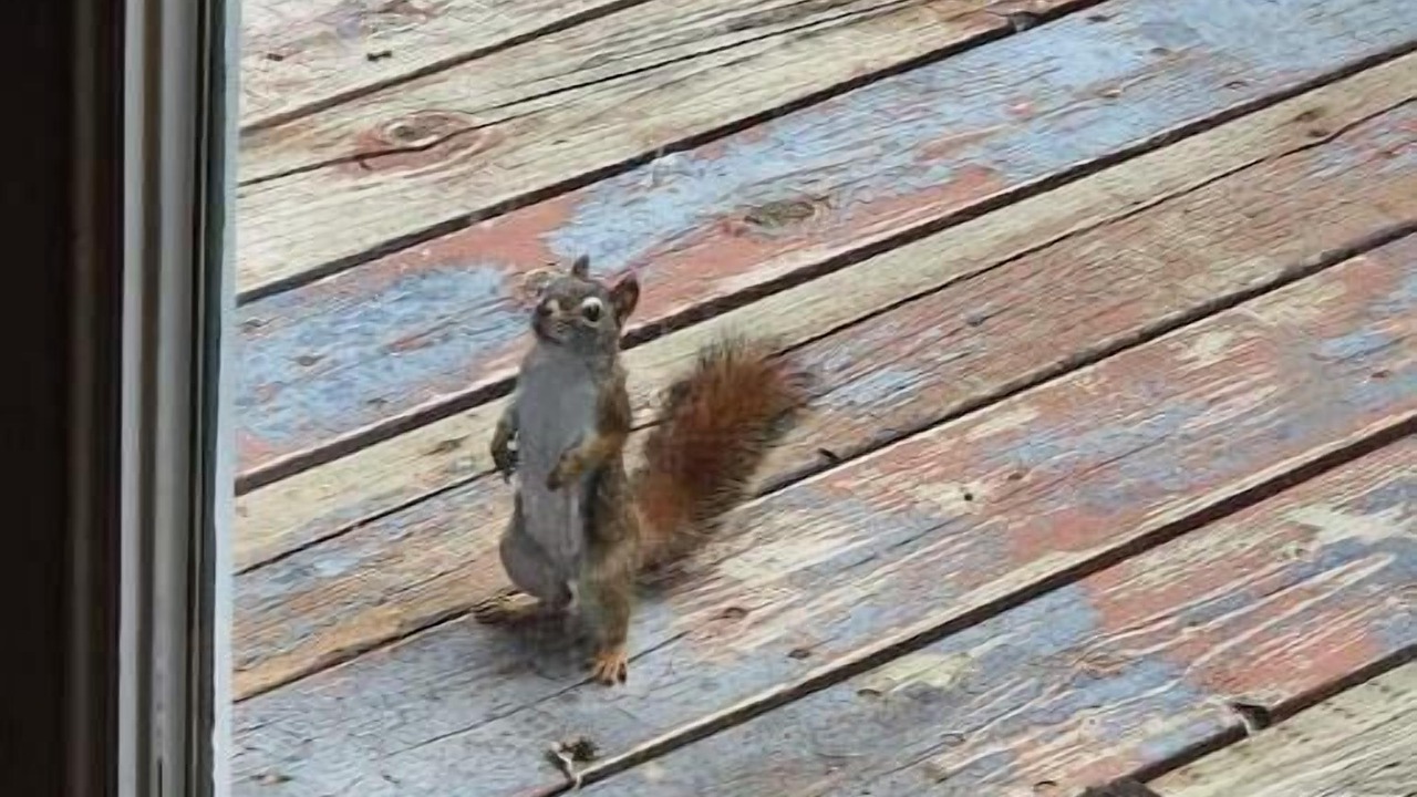 Photo of Others in Uxbridge