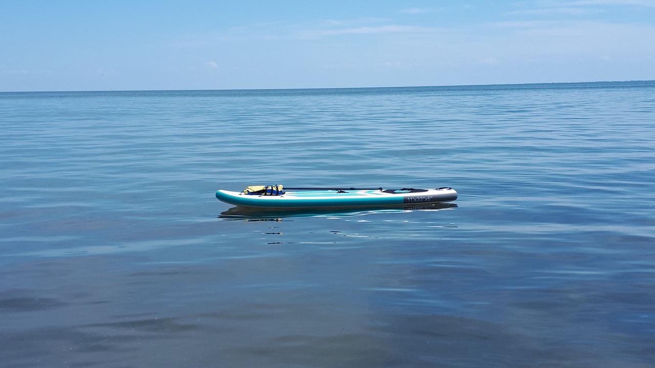 Photo of Others in Turkey Point