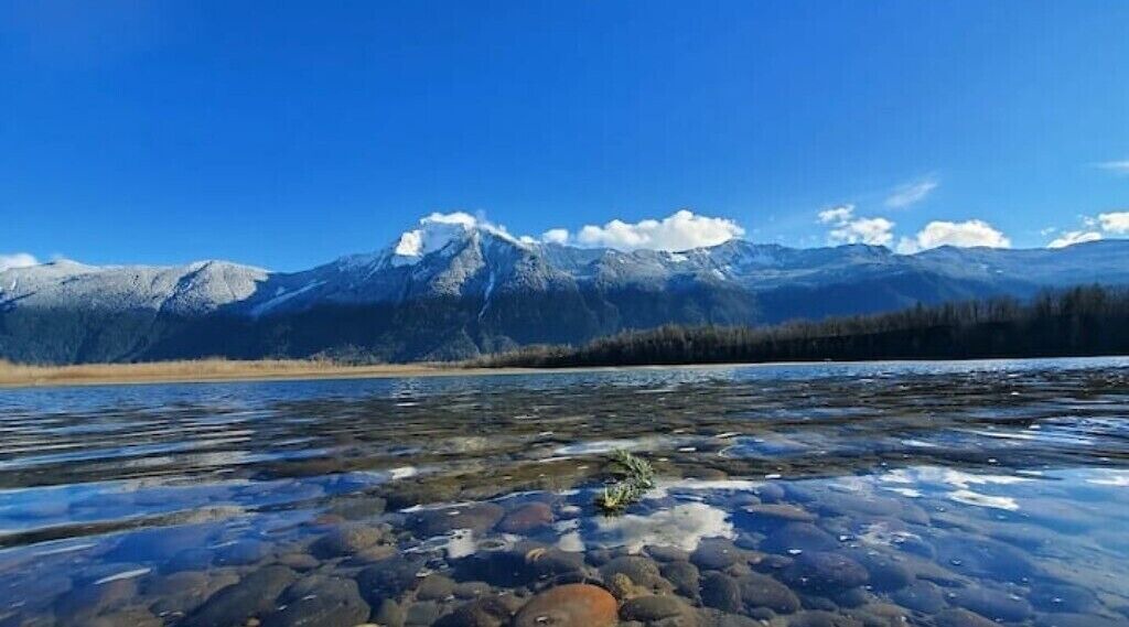 Photo of Others in Agassiz