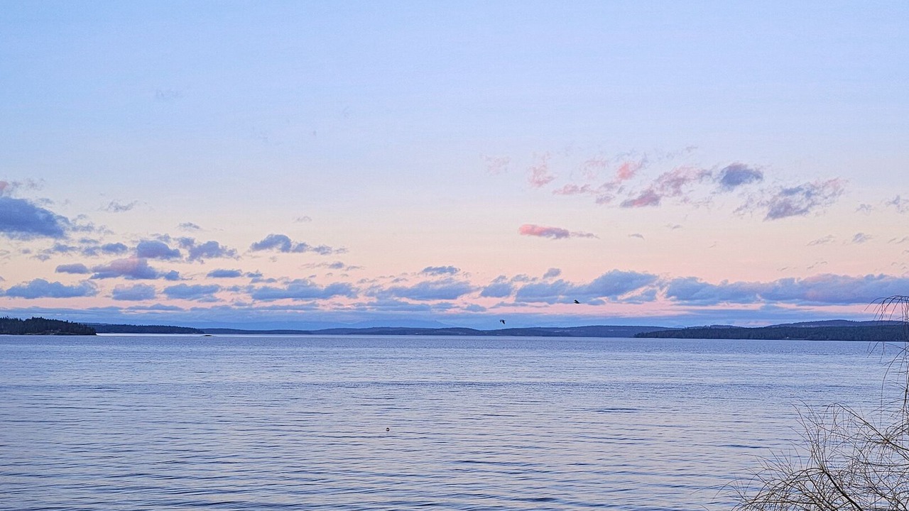 Photo of Others in Chemainus
