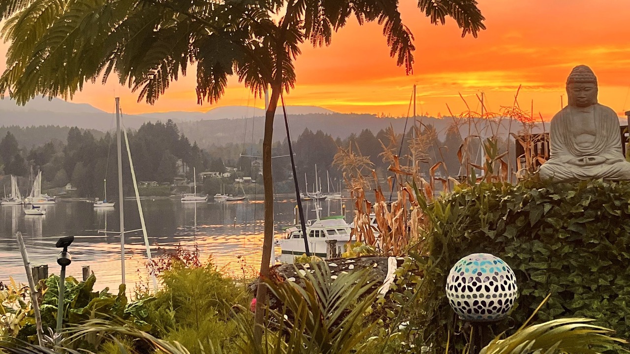 Photo of Outdoor in North Oyster