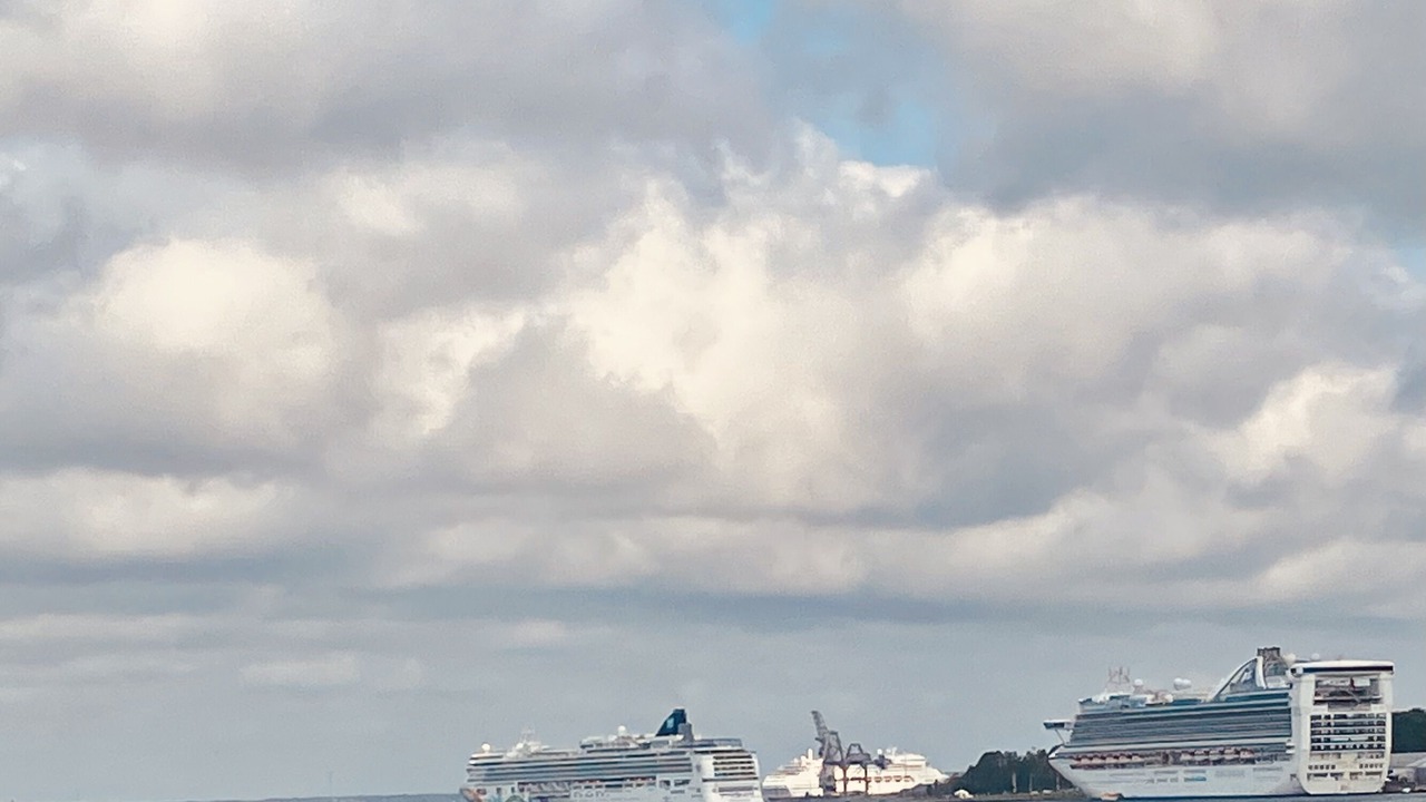 Photo of Others in Sydney