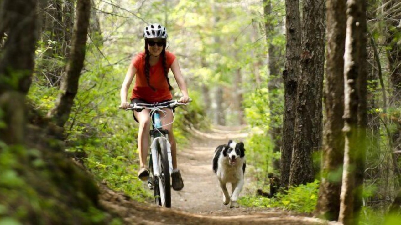 Photo of Outdoor in East Kootenay