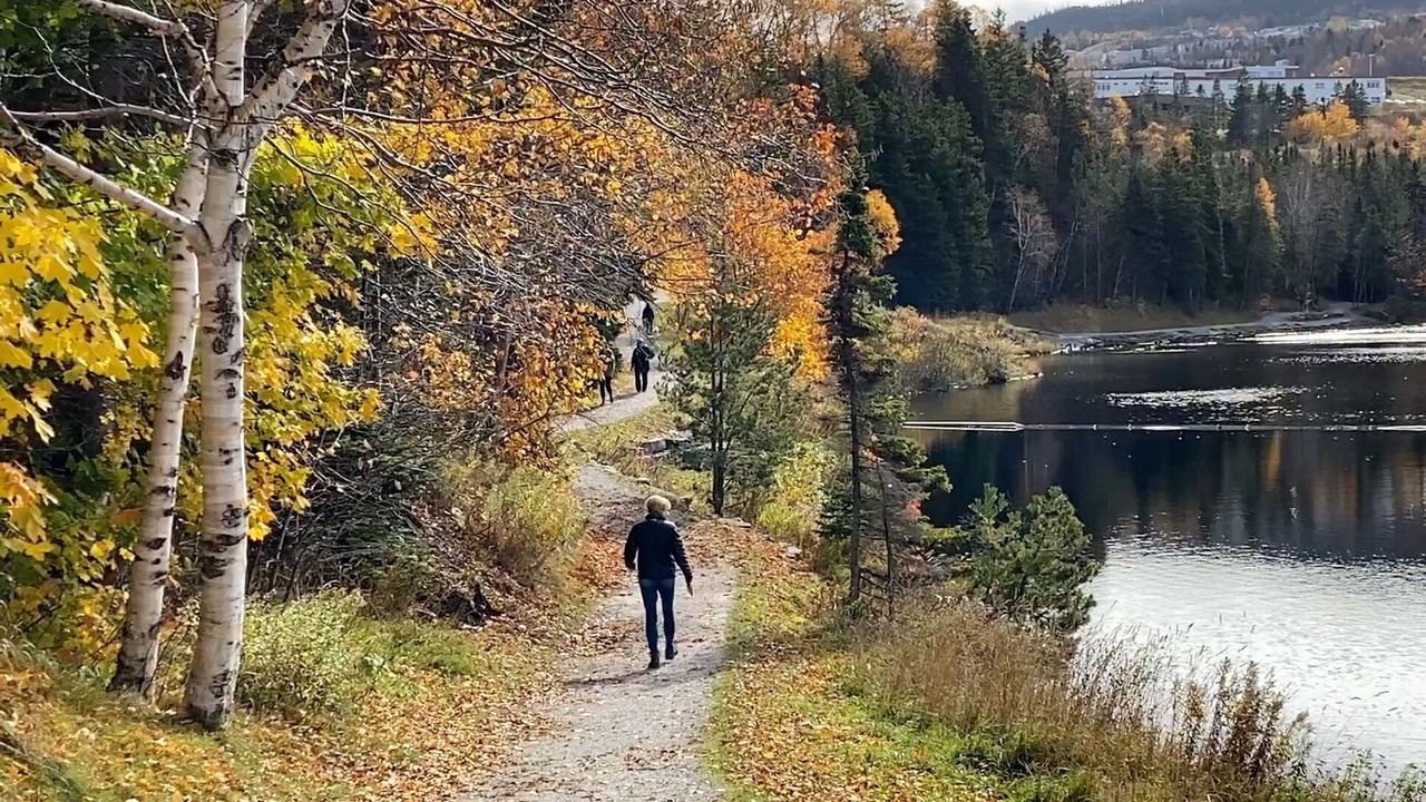 Photo of Others in Corner Brook