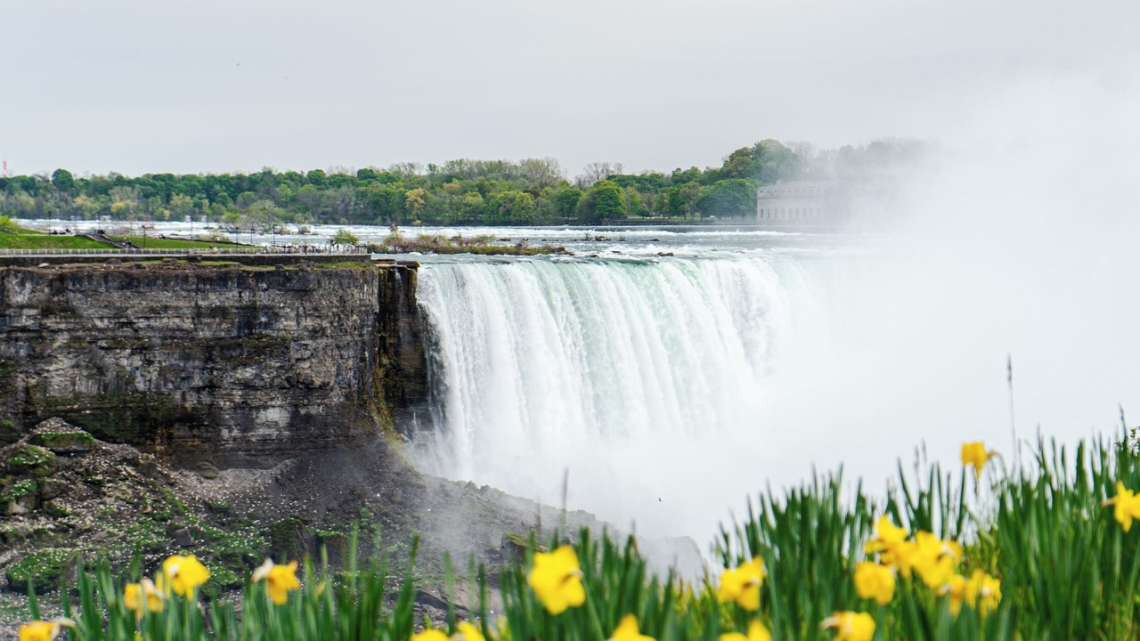 Photo of Others in Fallsview