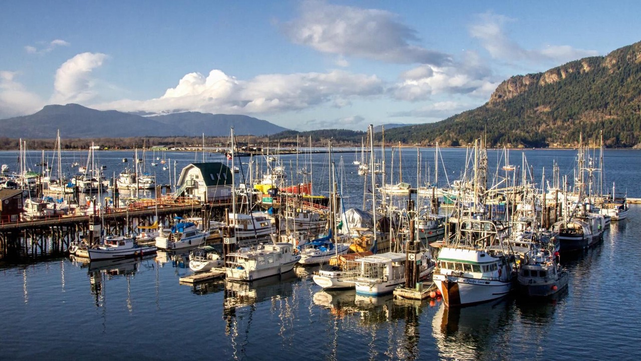 Photo of Outdoor in Cowichan Bay