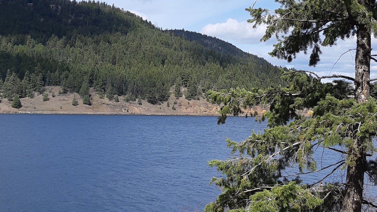Photo of Others in Central Okanagan