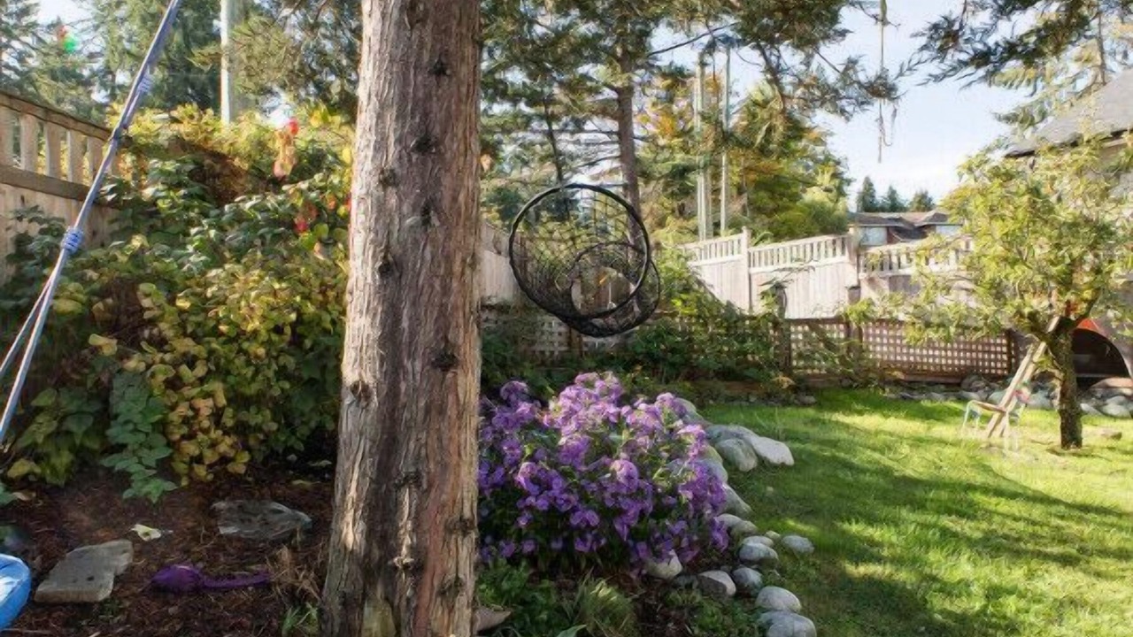 Photo of Outdoor in Cowichan Bay