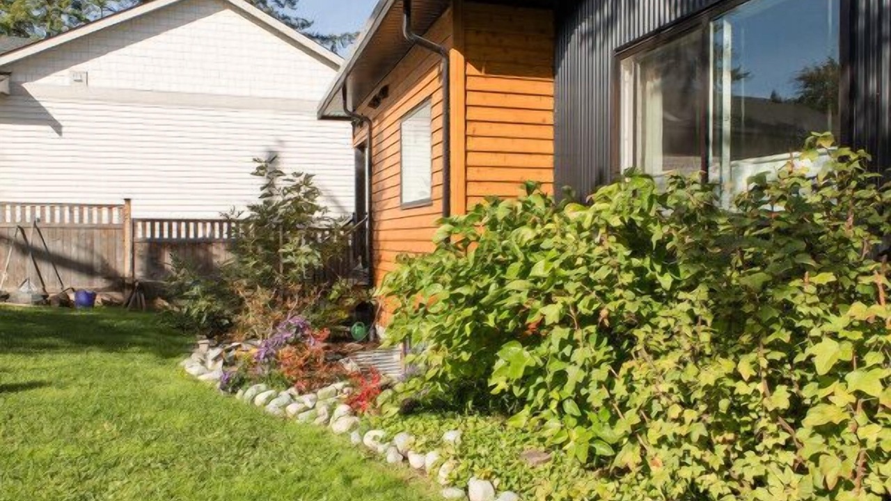 Photo of Outdoor in Cowichan Bay