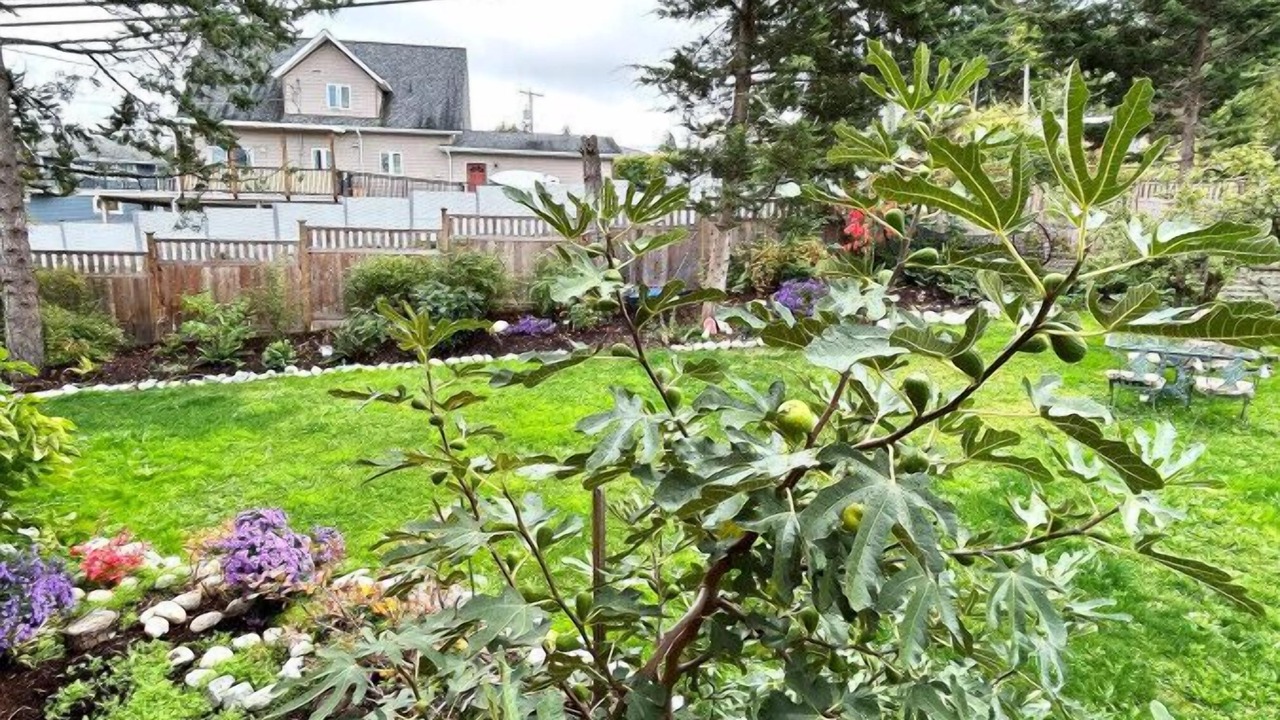 Photo of Outdoor in Cowichan Bay