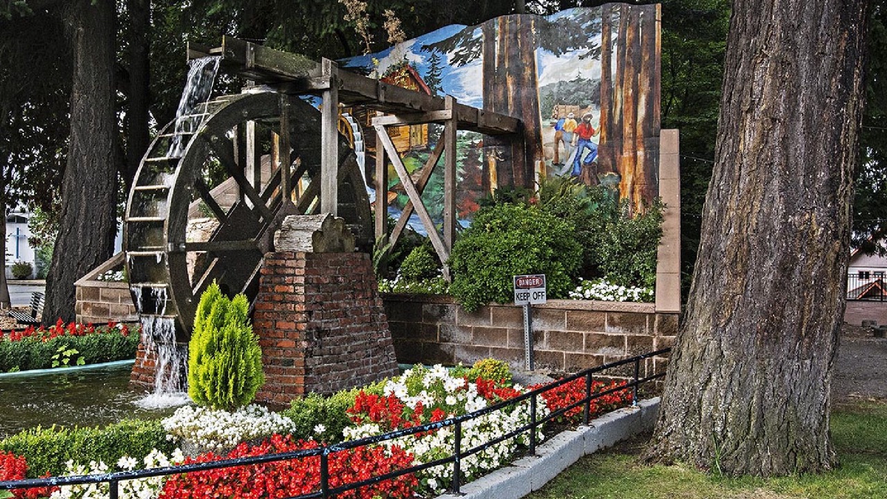 Photo of Others in Chemainus