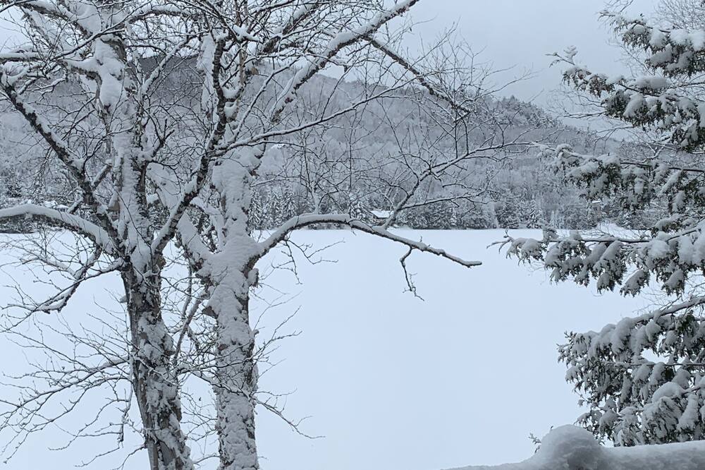 Photo of Outdoor in Amherst