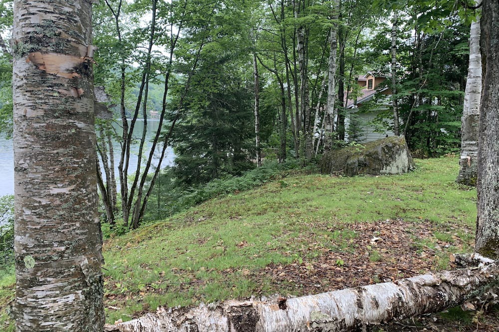 Photo of Outdoor in Amherst