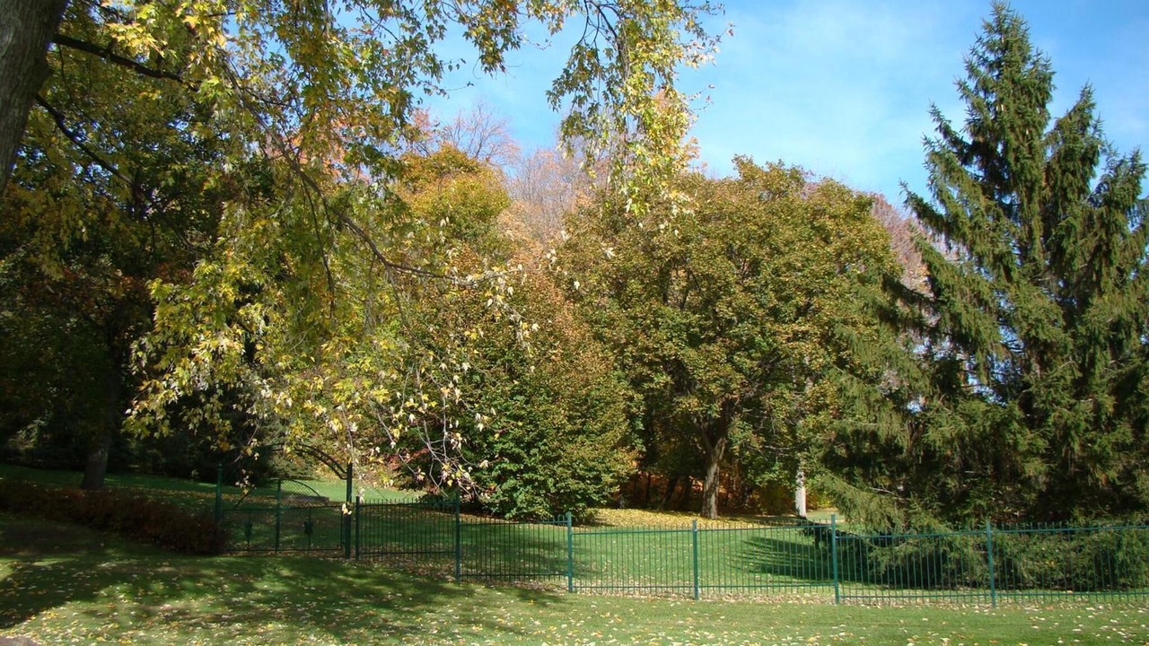 Photo of Outdoor in Oka