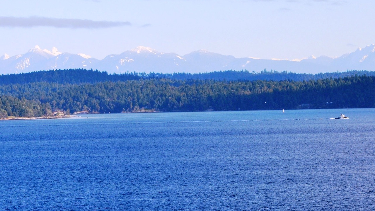 Photo of Others in Chemainus