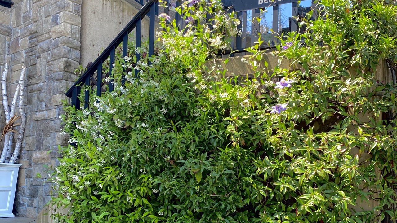 Photo of Outdoor in Chemainus
