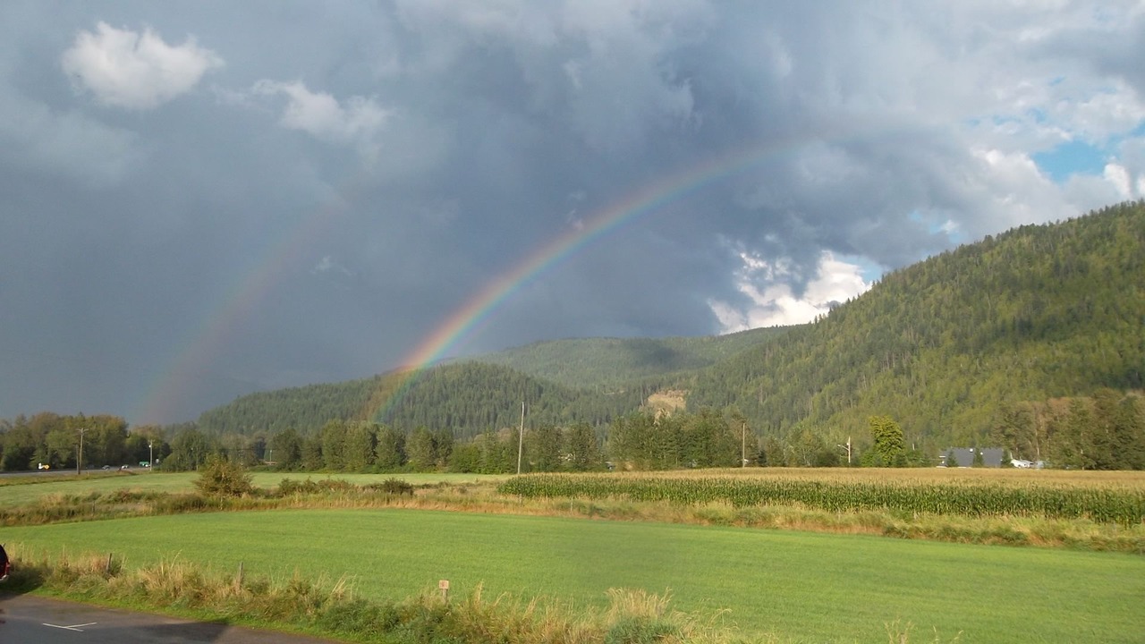 Photo of Others in Sicamous