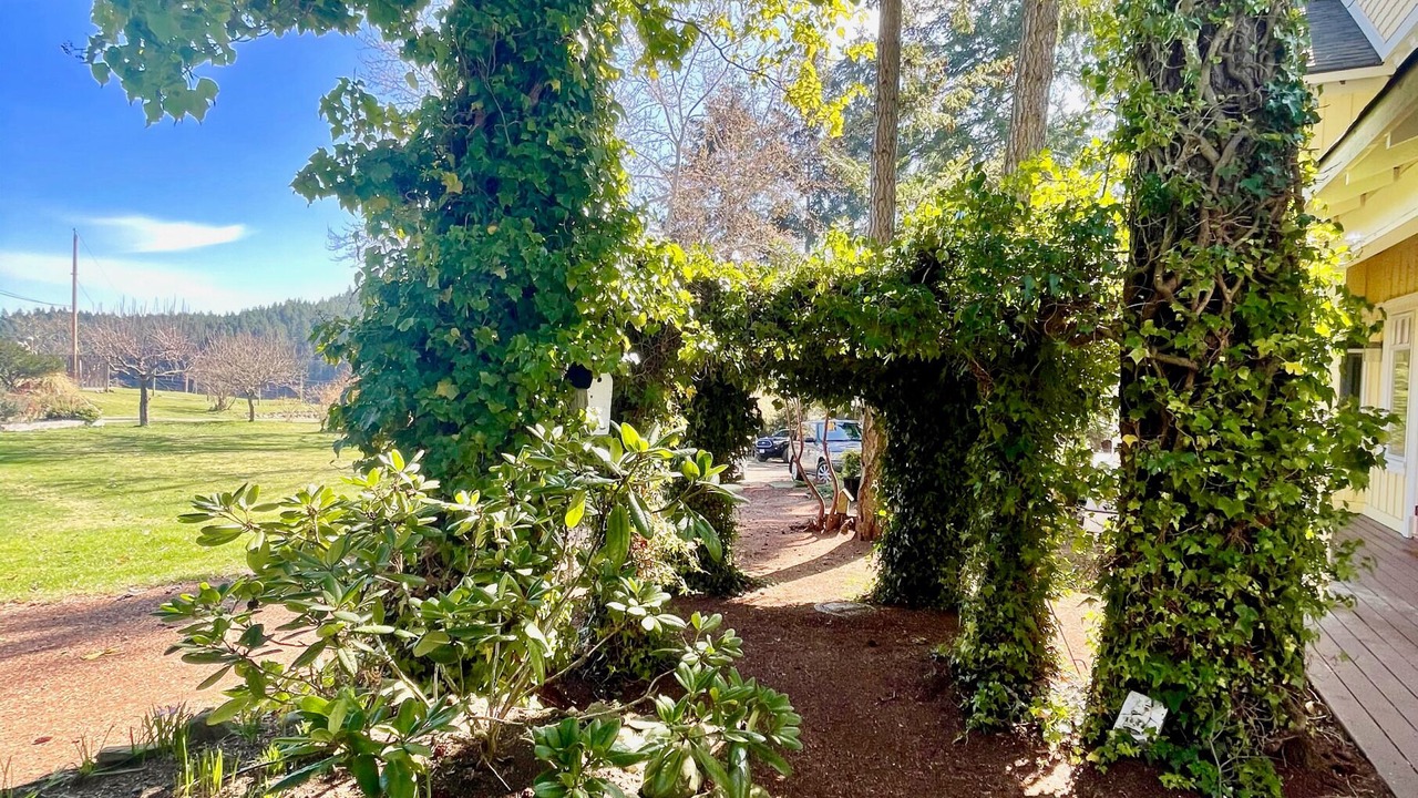 Photo of Others in Salt Spring Island