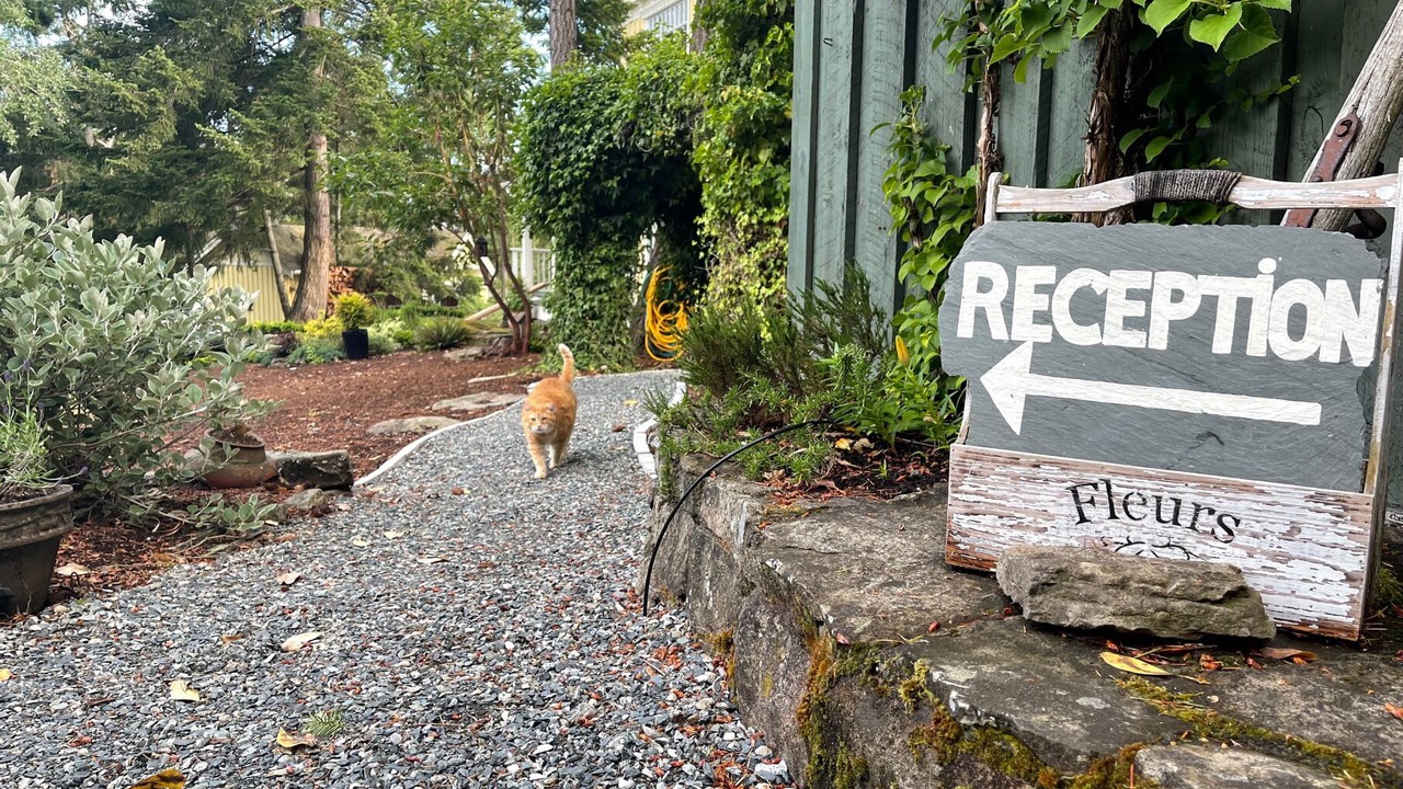 Photo of Others in Salt Spring Island