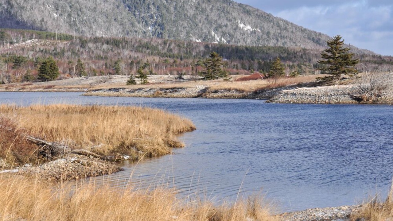 Photo of Outdoor in Indian Brook