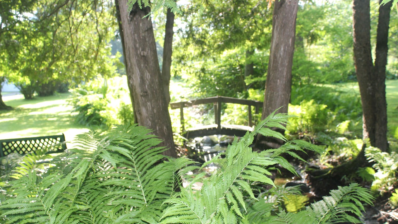 Photo of Outdoor in Stanstead