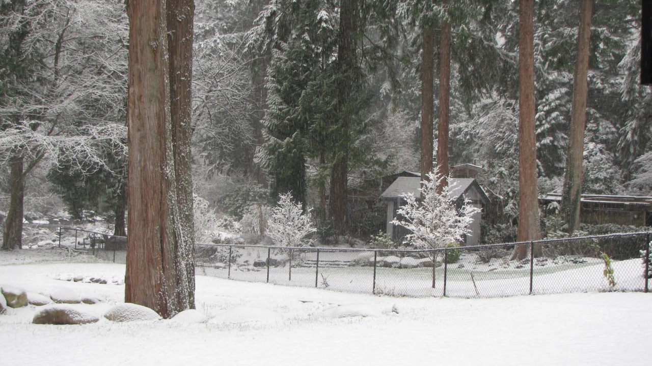 Photo of Outdoor in District of North Vancouver