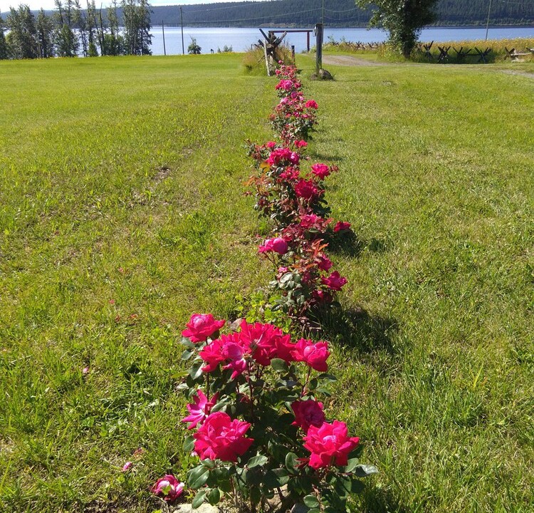 Photo of Outdoor in Lac La Hache