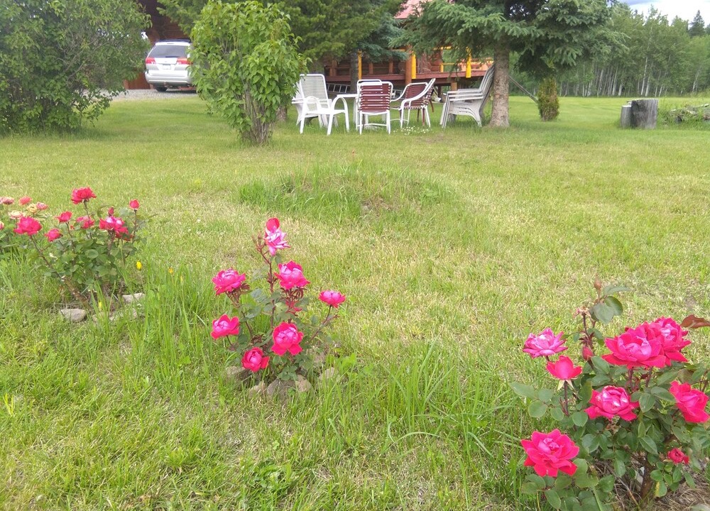 Photo of Outdoor in Lac La Hache