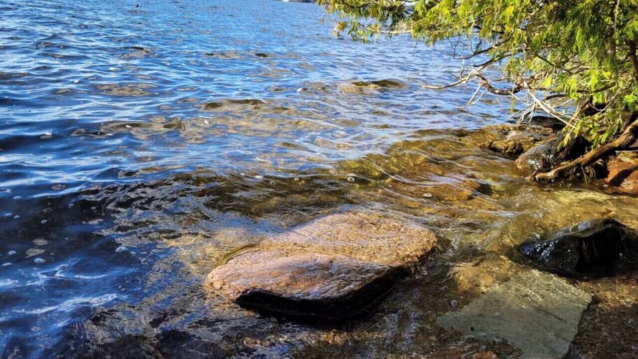 Photo of Others in Pleasant Point