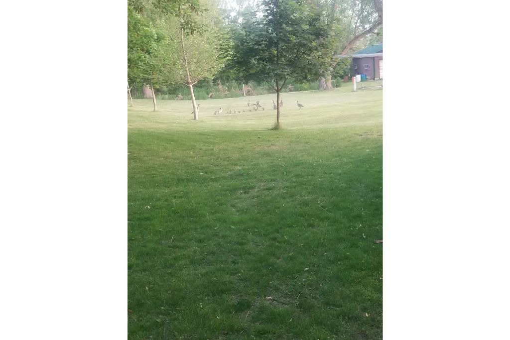 Photo of Outdoor in Stoney Point