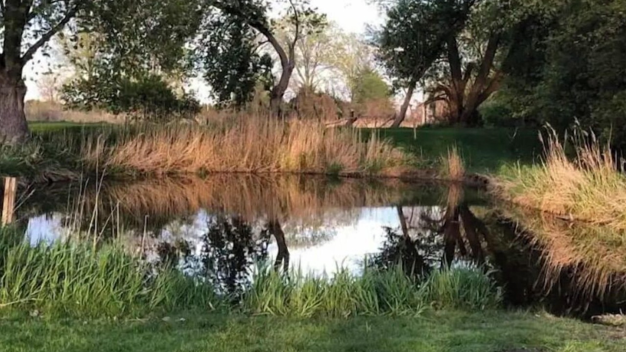 Photo of Outdoor in Stoney Point