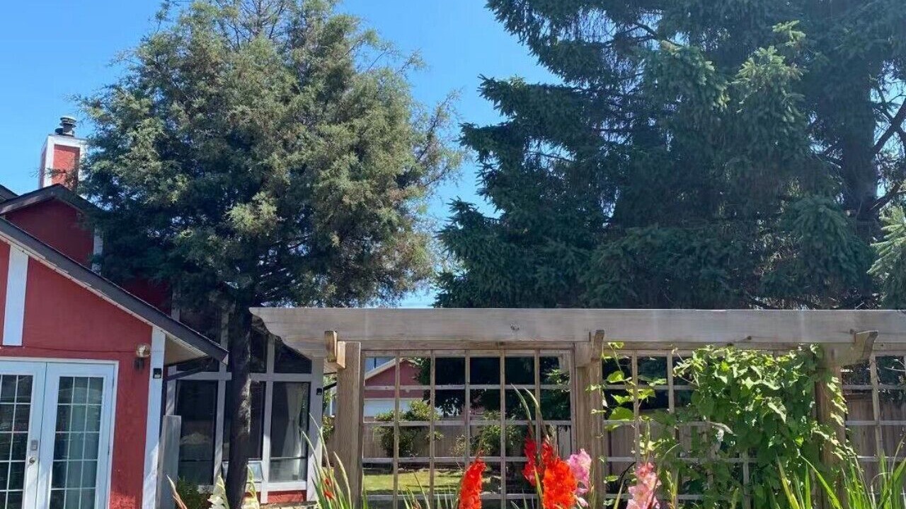 Photo of Outdoor in Seafair