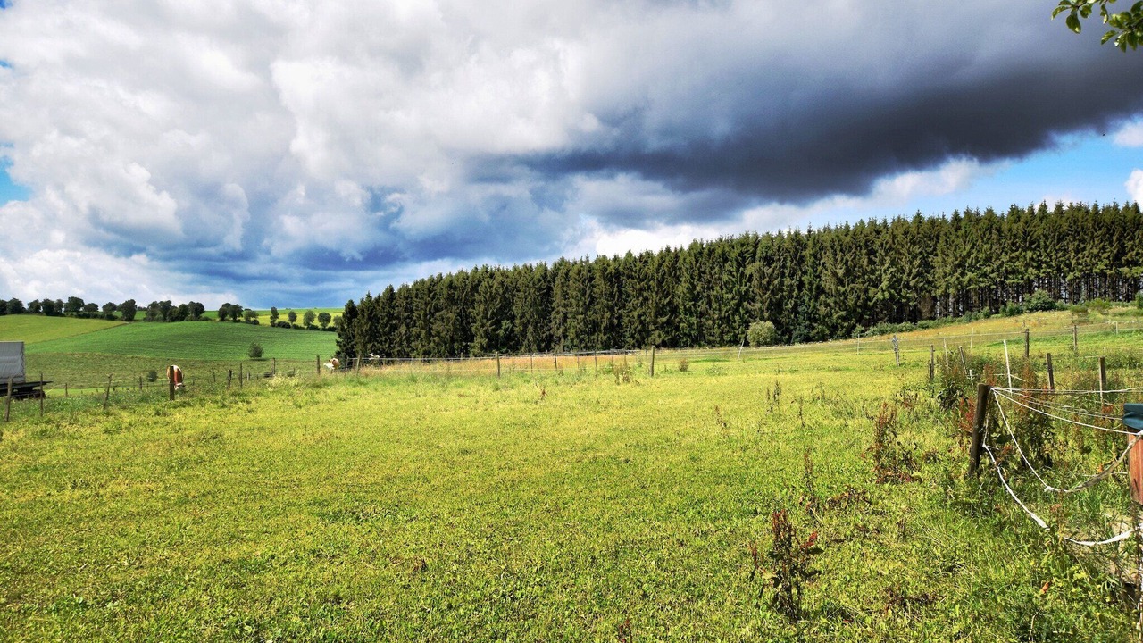 Photo of Others in Medendorf