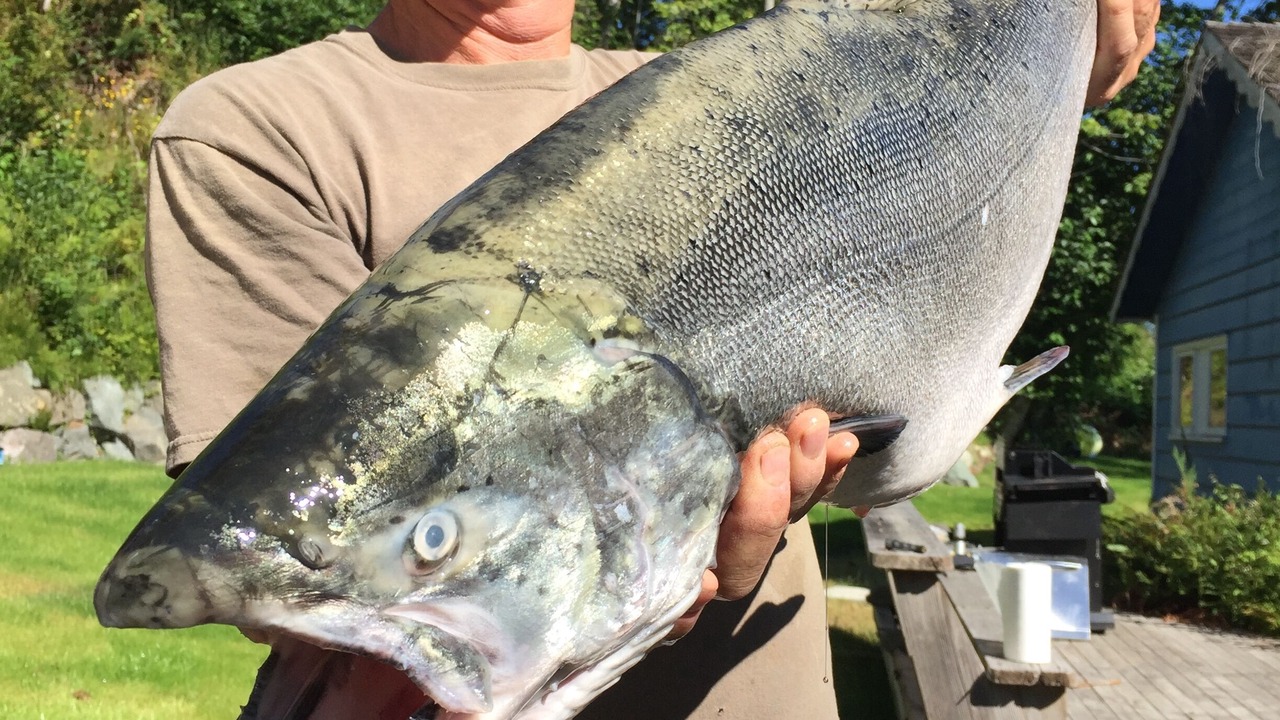 Photo of Others in Campbell River