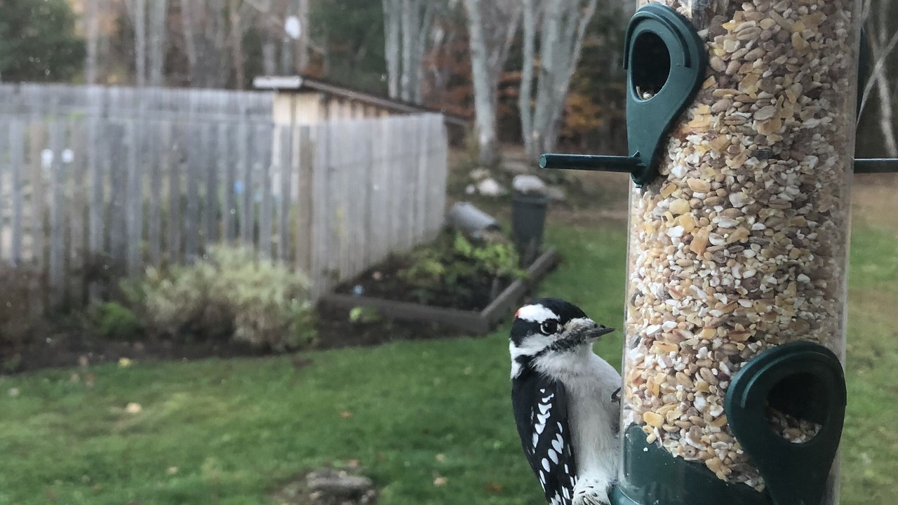 Photo of Outdoor in Bay of Fundy & Annapolis Valley