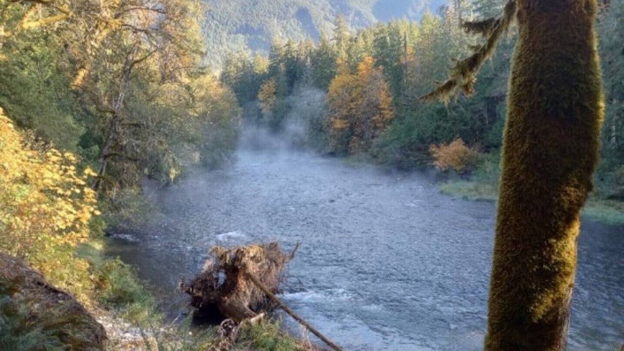Photo of Others in Lake Cowichan
