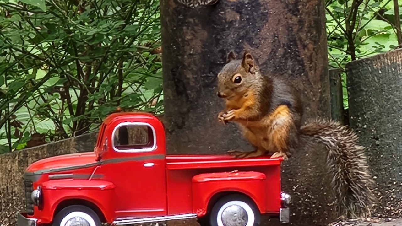 Photo of Others in Madeira Park