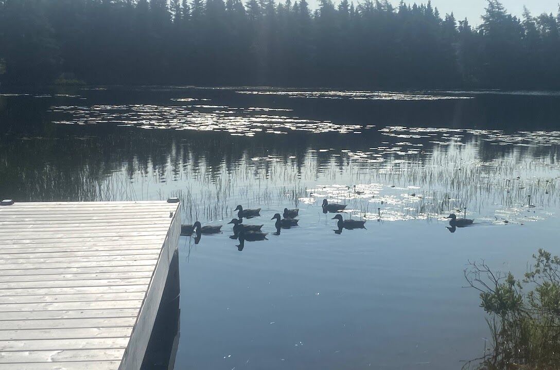 Photo of Others in Terra Nova