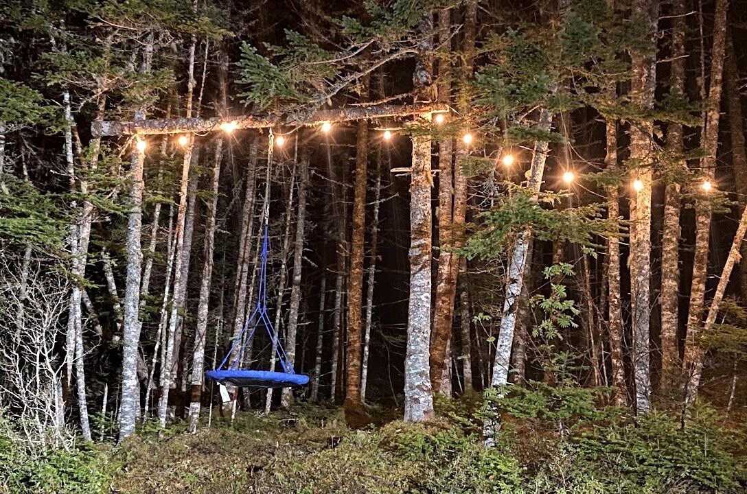 Photo of Others in Terra Nova
