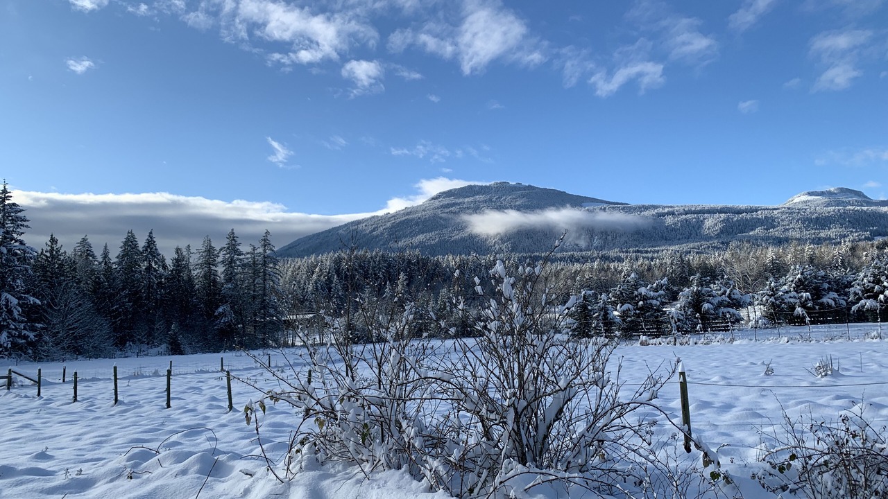 Photo of Others in Chemainus