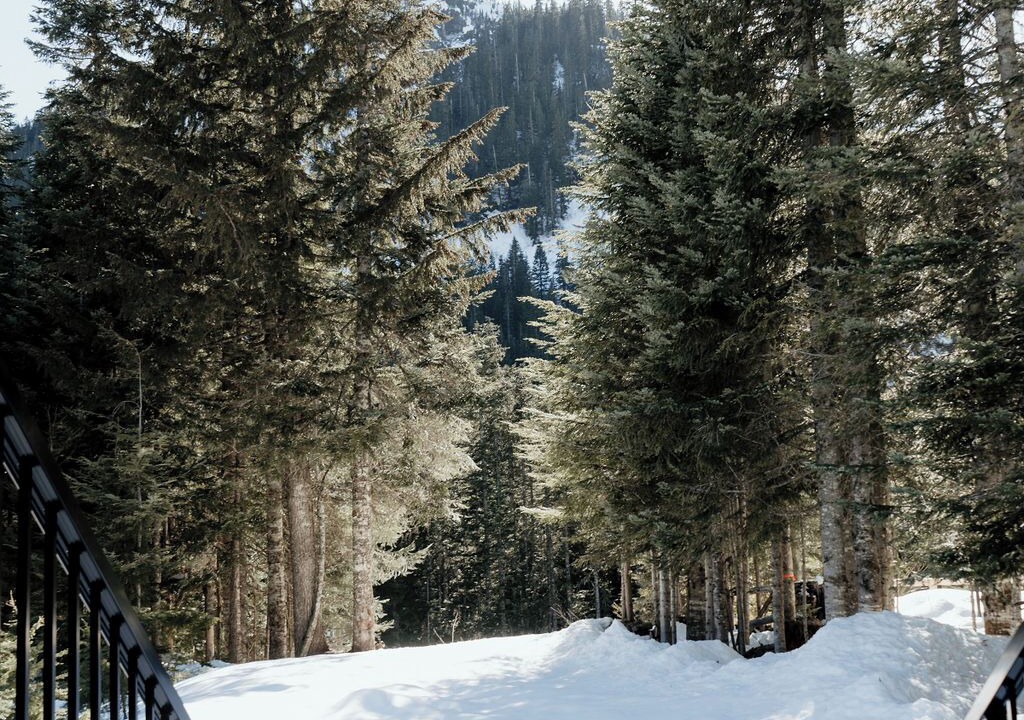 Photo of Outdoor in Hemlock Valley