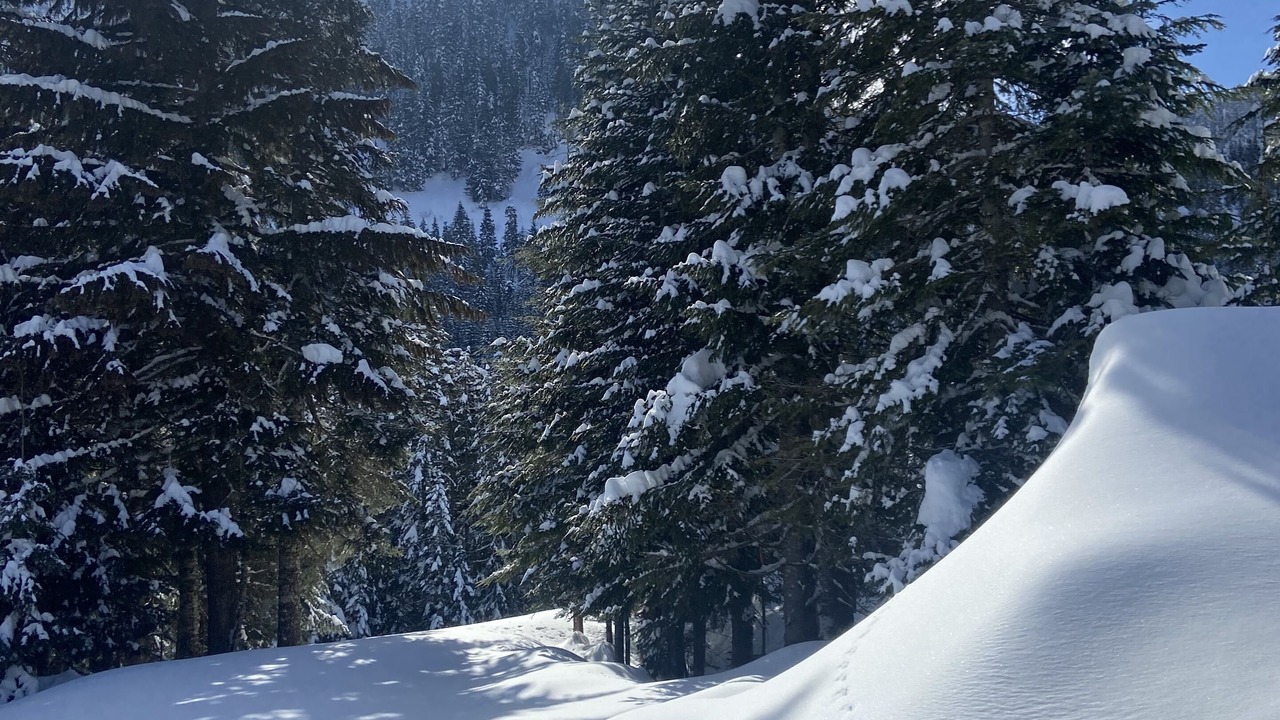 Photo of Outdoor in Hemlock Valley