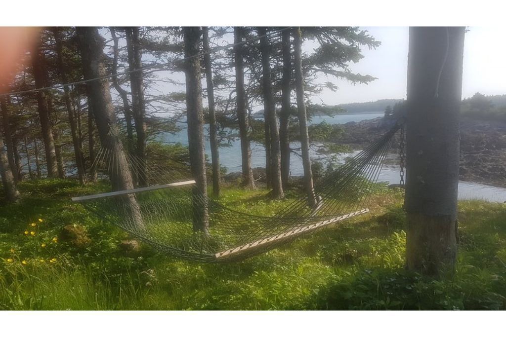 Photo of Others in Chance Harbour