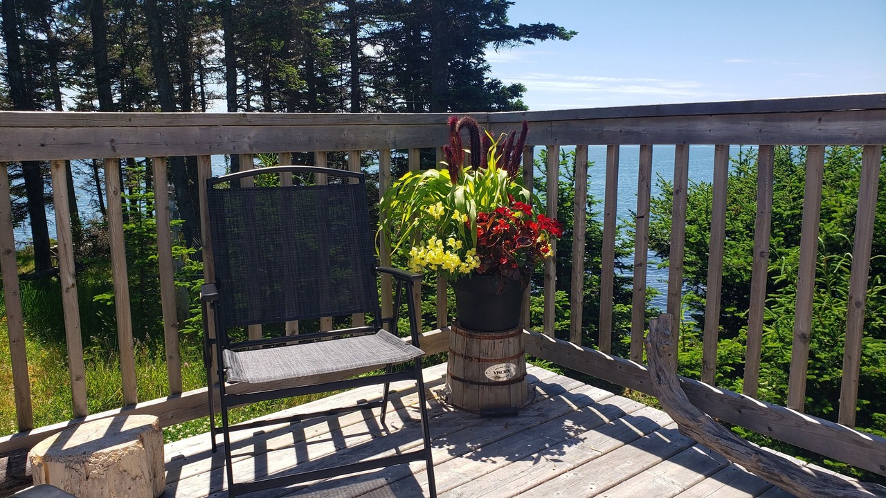 Photo of Others in Chance Harbour